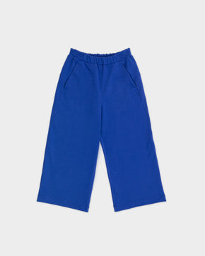 Wide Blue Sweatpants